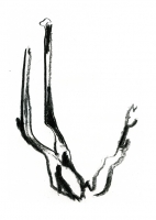 N/A